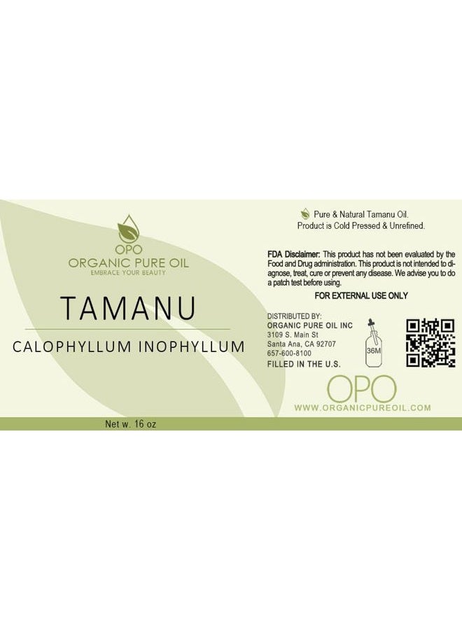 Aethland Tamanu Oil - Pure, Uncut, Unrefined, Non-GMO, Cold Pressed, Nut Carrier Oil for Skin, Hair, Nails, Body, Face, DIY, Cosmetic - 16 oz - Hydrating, Moisturizing - Image 2