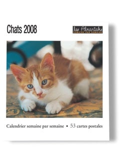 Chats 2008
