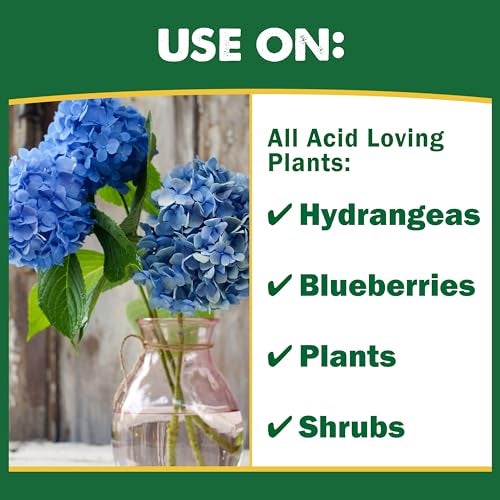 Espoma Organic Soil Acidifier Soil Amendment; Lowers Soil pH and Turns Hydrangeas Blue! Contains Elemental Sulfur and can be Used for Organic Gardening 6 lb. Bag - Pack of 1 - Image 4