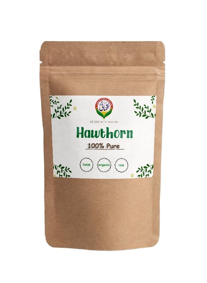 Hawthorn Extract 100 gm Premium Quality - pzsku/ZCDB842F945ACAAF83097Z/45/_/1659189838/cf64dc84-725b-47a3-aacf-73ede981931c