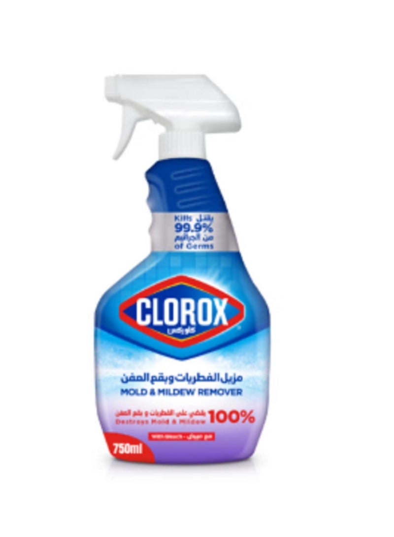Generic Clorox Clothes Cleaning Spray 750 ml  - Image 1