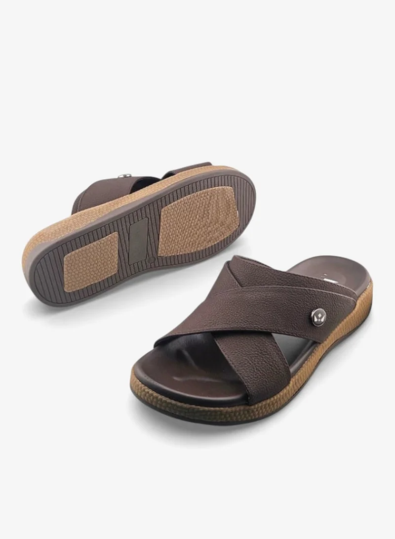 الفانوس الفانوس: سورا كينتسو