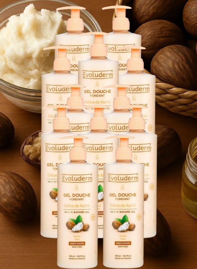 إيفو لوديرم 12 قطع جل الاستحمام إيفولوديرم ديلايت بزبدة الشيا 500مل - Image 1