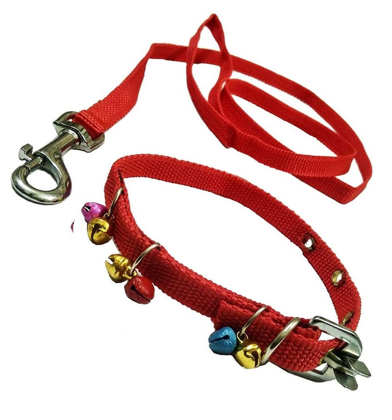 VRCT Nylon Puppy Dog Collar Belt And Leash (Extra Small), 43x125 Cm - Image 1