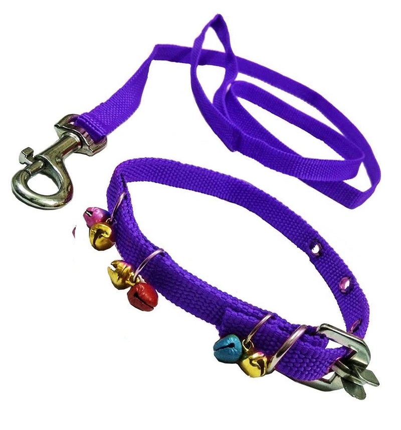 VRCT Nylon Puppy Dog Collar Belt And Leash (Extra Small), 43x125 Cm - Image 2