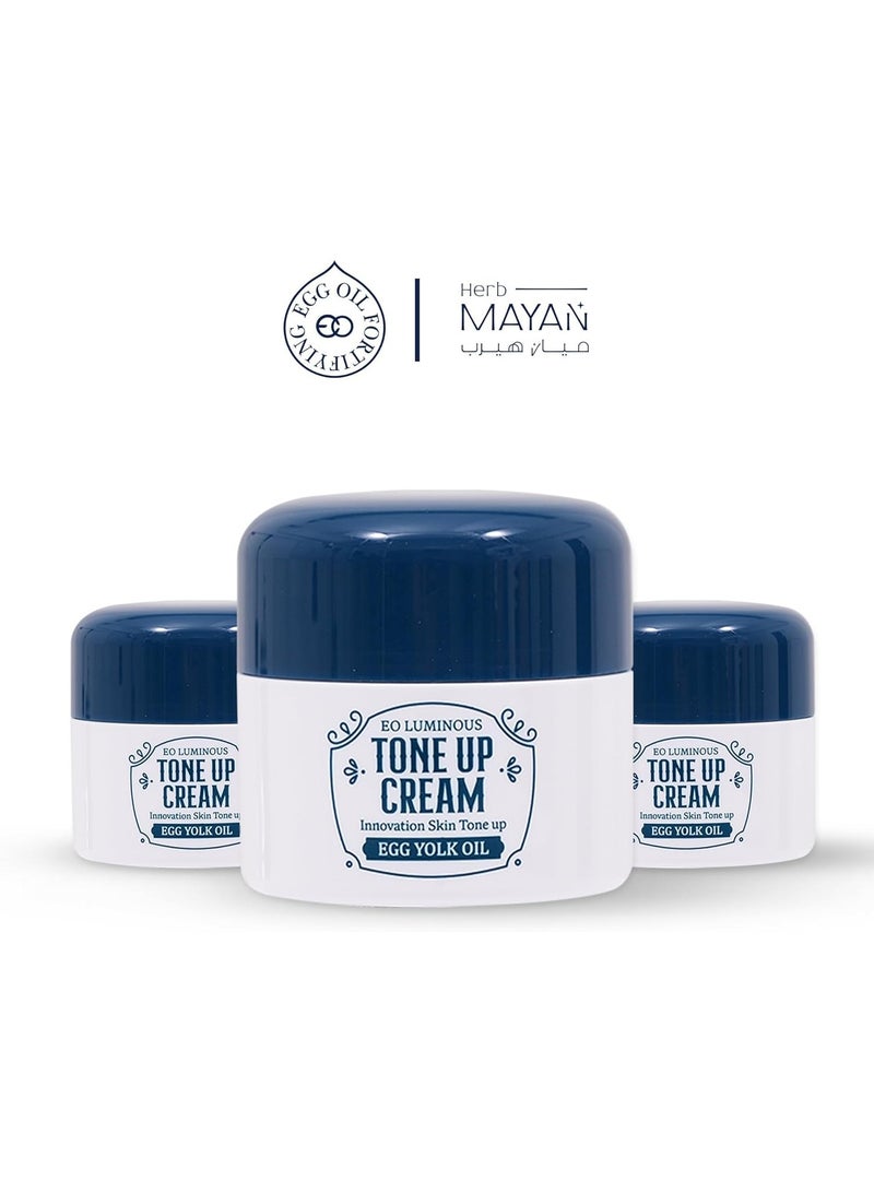 EO Korean EO Luminous Skin Tone-up Cream (Foundation Replacement), Instant Fast Solution for Flawless and Naturally Luminous Skin, 52ml - Image 2