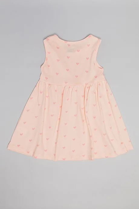 أر أند بي Printed Sleeveless Fit & Flare Dress