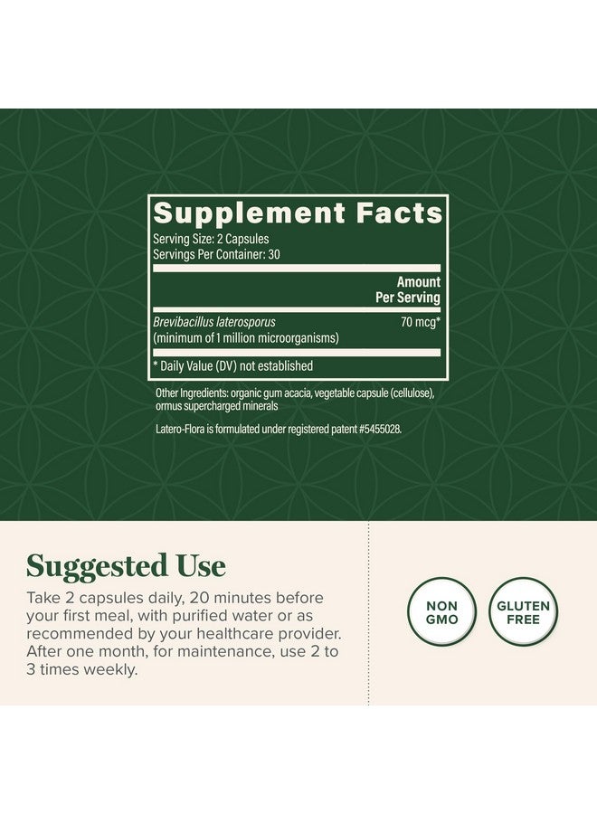 global healing center Latero-Flora Probiotic 60 count by Global Healing Center - Image 3