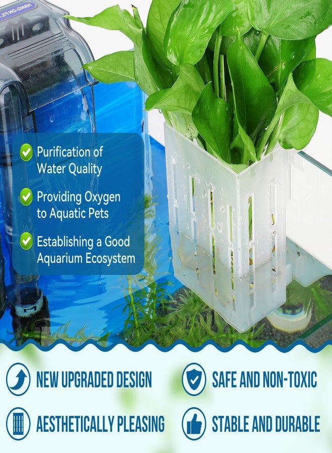 Borlech Upgraded Aquarium Plant Holder with Hooks and Suction Cups for Fish Tank Aquaponic Plant Cultivation and Aquascape Decorations (Semitransparent) - Image 2