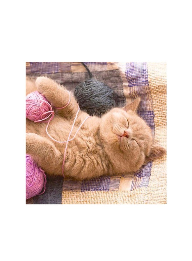 RYN Cute Cat Mdf Wall Art Multicolour 30x30centimeter - Image 1