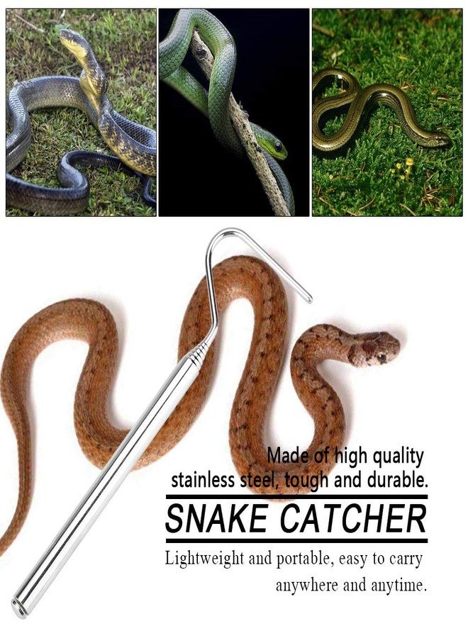 Asixxsix Reptile Catcher, Stainless Steel Reptile Capture Hook, Tough and for Moving Small Snakes Pet Shop Reptile Collecting Wild Snakes - Image 3