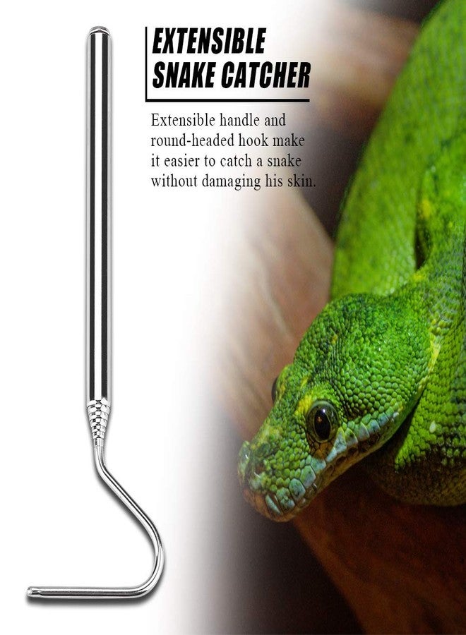 Asixxsix Reptile Catcher, Stainless Steel Reptile Capture Hook, Tough and for Moving Small Snakes Pet Shop Reptile Collecting Wild Snakes - Image 2
