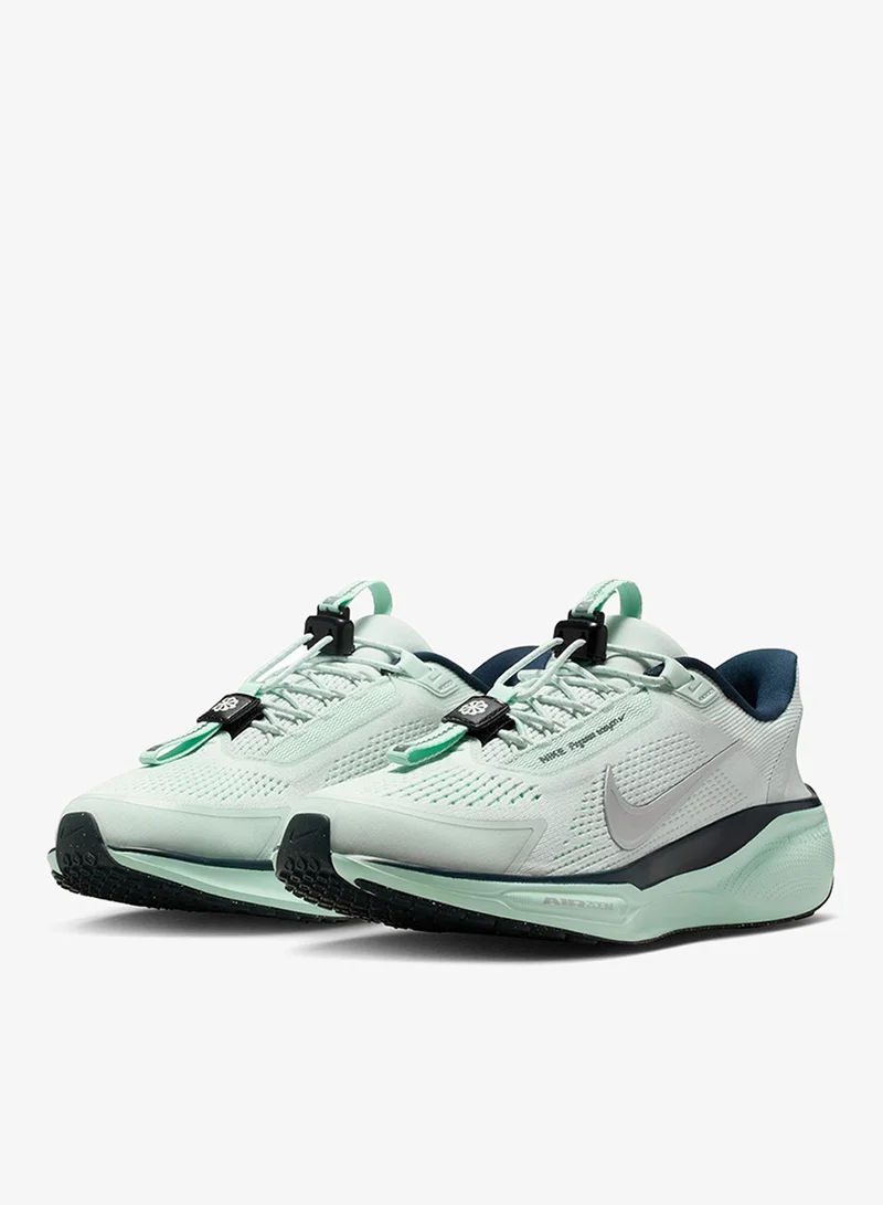 Nike Pegasus Easyon