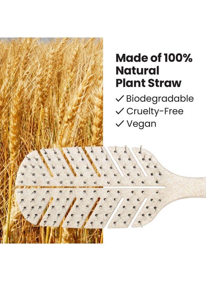 Lindo Ecofriendly Hair Brush Detangling For Wet Or Dry Hair & All Hair Types Antiknot Flexible Bristles Biodegradable Material Natural Vegan - Image 3