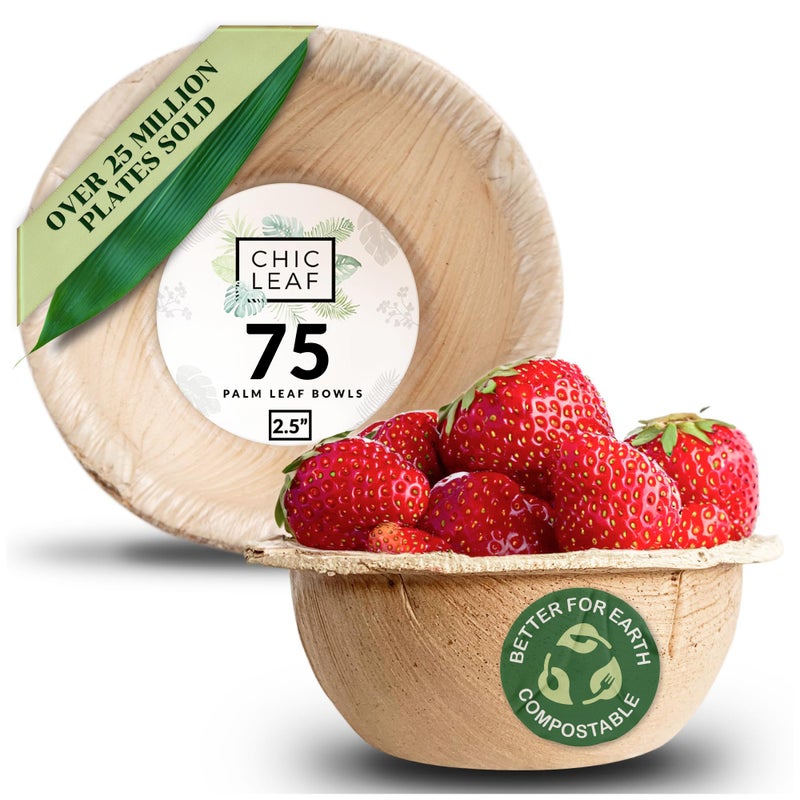 Chic Leaf Palm Leaf Bowls  Mini Disposable Bamboo Bowls for Parties Event Appetizers Dessert Cups  Biodegradable  Compostable Party Supplies 25 Round  75 Pack