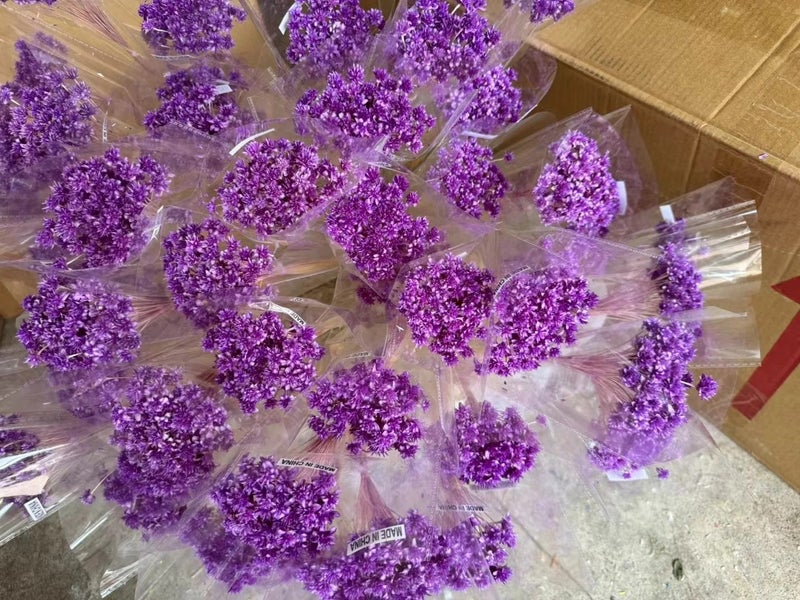 Bluejw 20g Natural Dried Small Mountain Flowers for Home Decor, Graduation, Valentine's Day, Thanksgiving - Hot Selling Dried Plants - Image 5