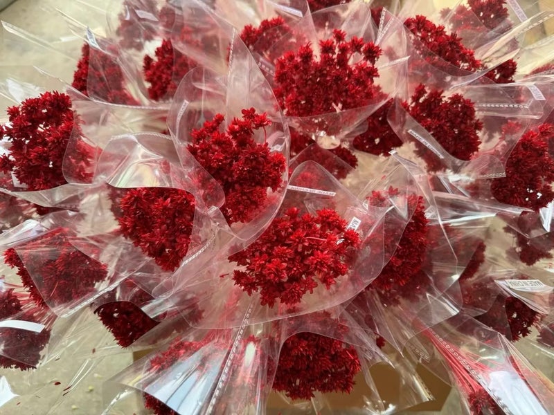 Bluejw 20g Natural Dried Small Mountain Flowers for Home Decor, Graduation, Valentine's Day, Thanksgiving - Hot Selling Dried Plants - Image 4