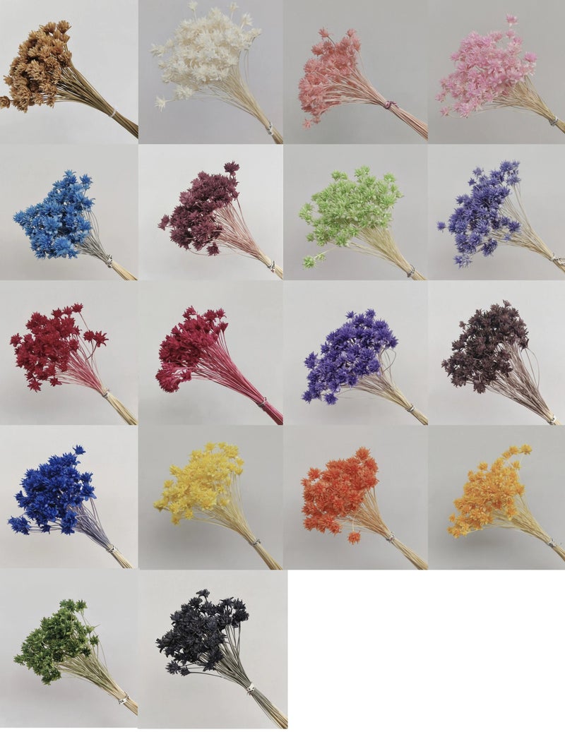 Bluejw 20g Natural Dried Small Mountain Flowers for Home Decor, Graduation, Valentine's Day, Thanksgiving - Hot Selling Dried Plants - Image 3
