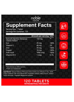 noble nature Iron & Folic Acid Supplement, with Zinc, Copper, Vitamin C & Vitamin B12, Supports Red Blood Cell Production - 120 Veg Tablets  - Image 2