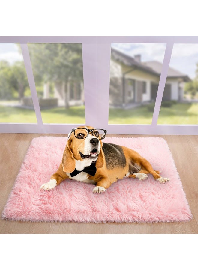 Noahas Fluffy Bedroom Rug Plush Fuzzy Rugs for Kids Room Living Room, Soft Shaggy Nursery Rug Furry Floor Carpet Modern Indoor Bedroom Decor for Boys Girls Room, 2x3 Feet, Pink - Image 5