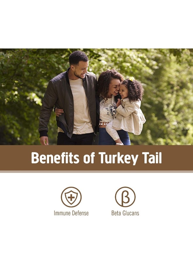 OM - Turkey Tail Organic Mushroom Powder 100G - Image 1
