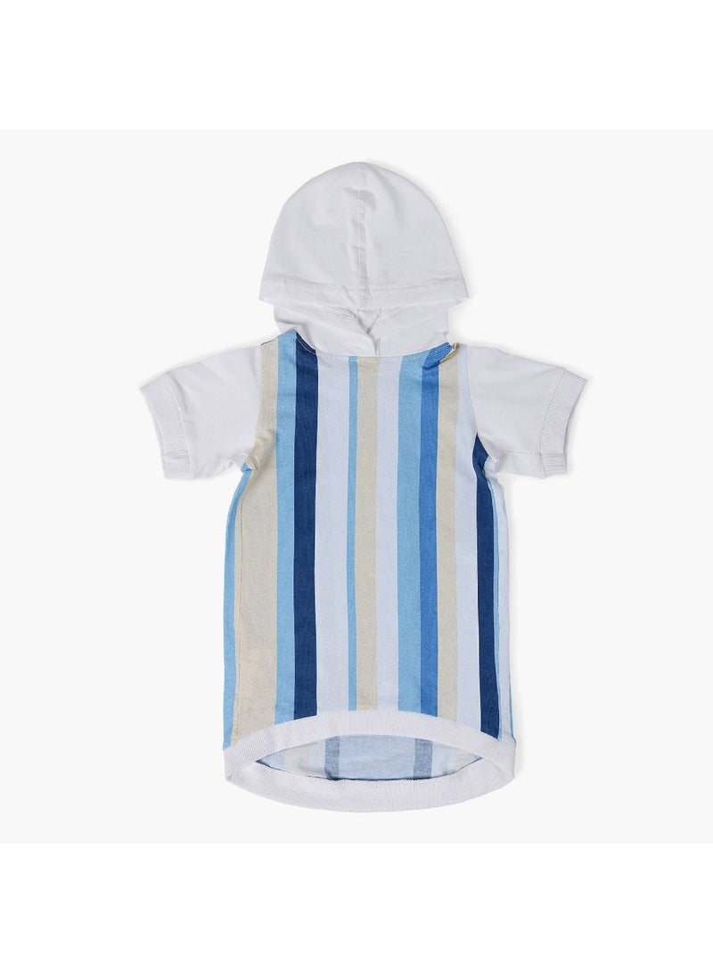 Home Box Canine Linear Hoodie 22 x 21 x 26 cm - Image 1