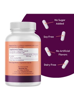 BESTVITE BESTVITE L-Lysine 500mg per Capsule (240 Vegetarian Capsules) - No Stearates - No Fillers - No Flow Agents - Vegan - Non GMO - Gluten Free - No Stearic Acid - No Dicalcium Phosphate  - Image 2