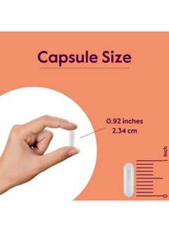 BESTVITE BESTVITE L-Lysine 500mg per Capsule (240 Vegetarian Capsules) - No Stearates - No Fillers - No Flow Agents - Vegan - Non GMO - Gluten Free - No Stearic Acid - No Dicalcium Phosphate  - Image 5
