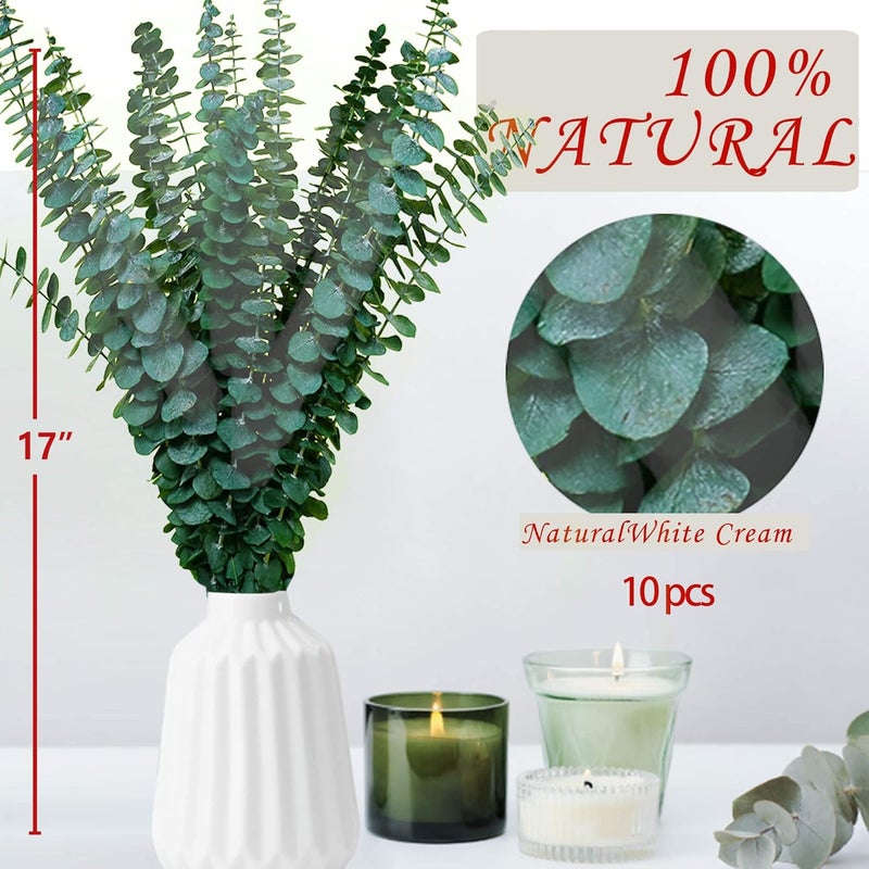 10Pcs Dried Eucalyptus Stems, 17" Real Natural Hanging Eucalyptus for Shower, Made from Fresh Leaves Branches, DIY for Vase Filler, Wedding, Bathroom, Home Decor, Dried Flowers Accessories Decor - Image 2