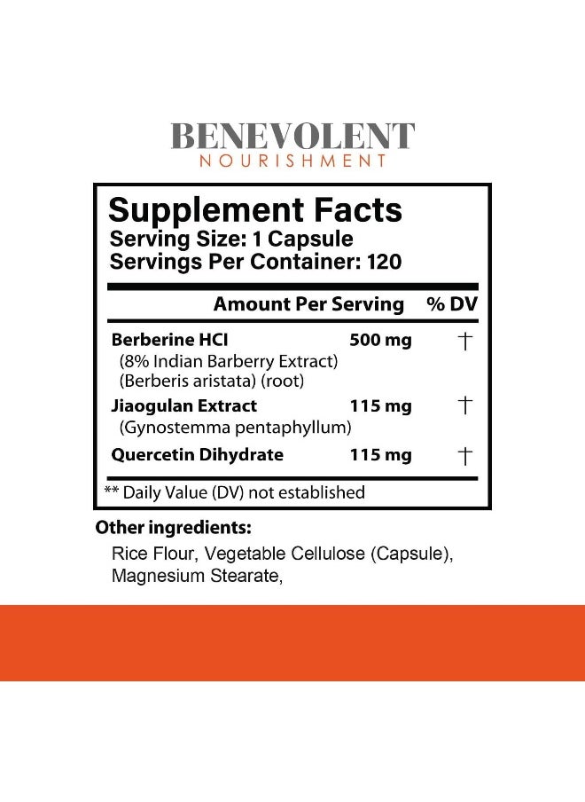 BENEVOLENT NOURISHMENT Benevolent Nourishment Premium Berberine HCL 730mg - 120 VCAPS  - Image 2