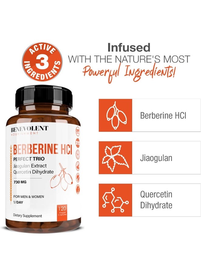 BENEVOLENT NOURISHMENT Benevolent Nourishment Premium Berberine HCL 730mg - 120 VCAPS  - Image 3