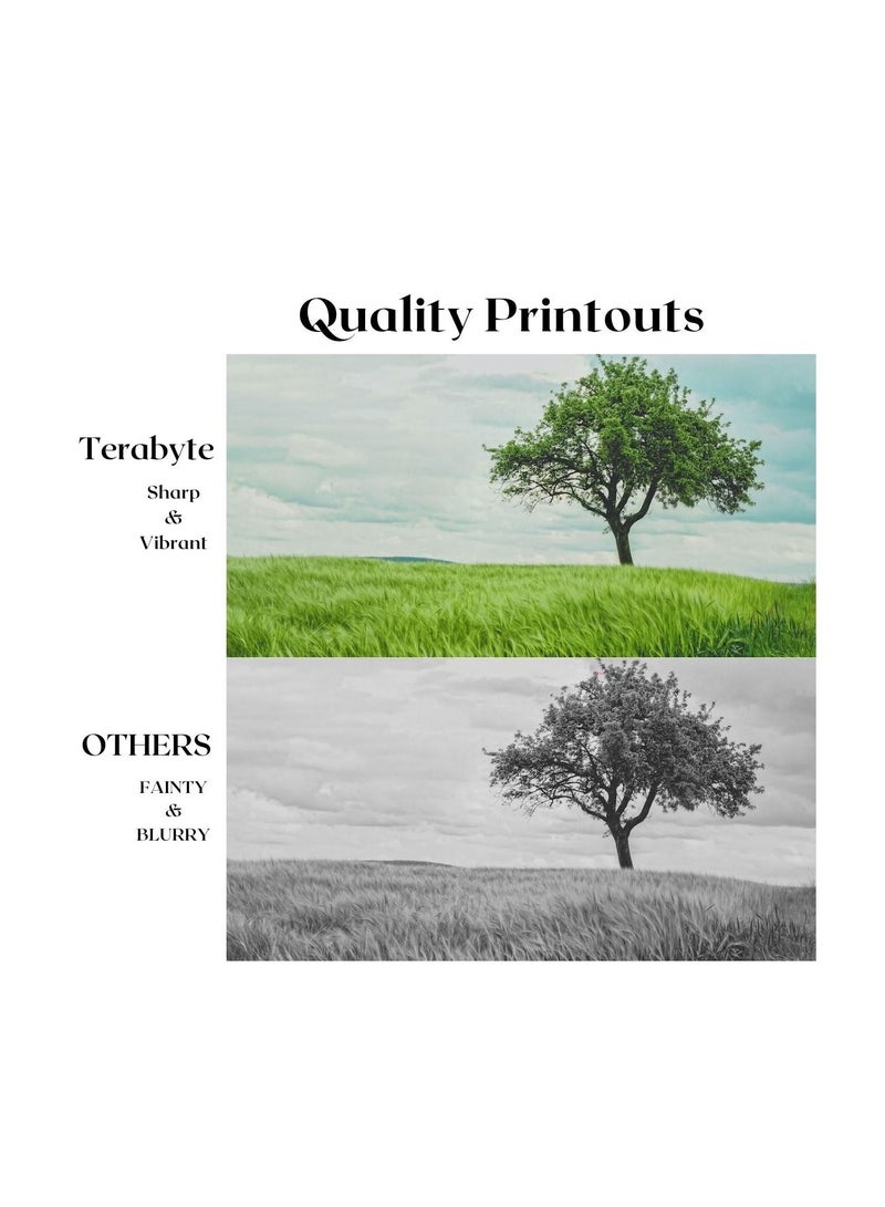 Terabyte TONER CARTRIDGE TN221/TN241/TN221/TN251 MAGENTA - Image 4