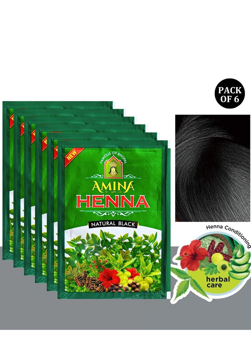 Amina Natural Black Henna Powder For Hair Color, Natural Black Hair, Herbal Conditioning Hair Dye for Silky & Shiny Soft Hair Colour for Men & Women (25 Gms x Pack Of 6) - Image 1