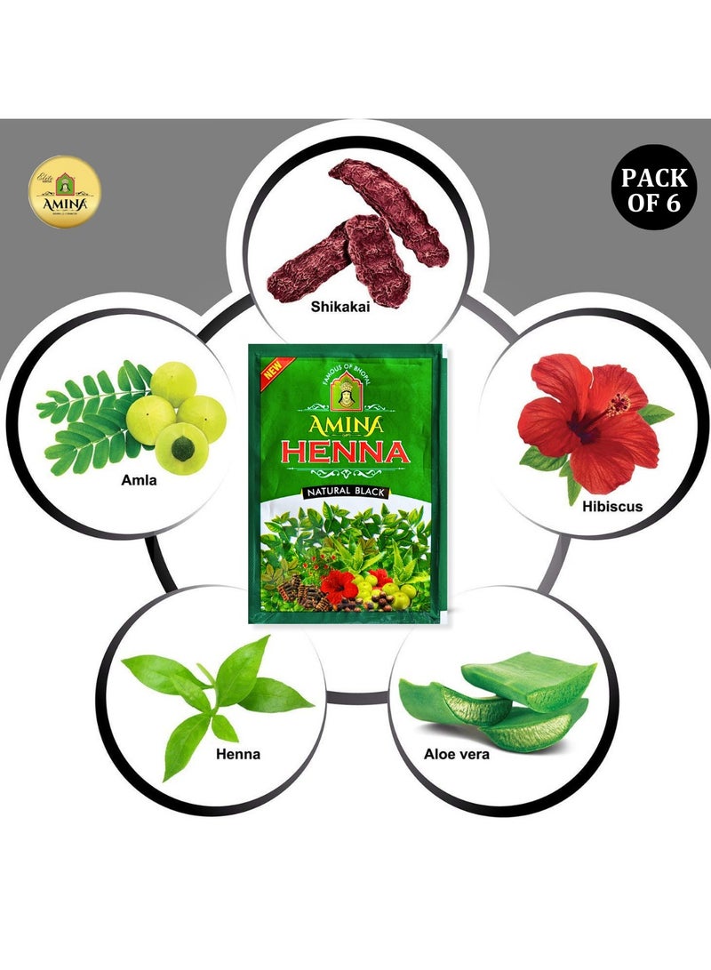 Amina Natural Black Henna Powder For Hair Color, Natural Black Hair, Herbal Conditioning Hair Dye for Silky & Shiny Soft Hair Colour for Men & Women (25 Gms x Pack Of 6) - Image 2