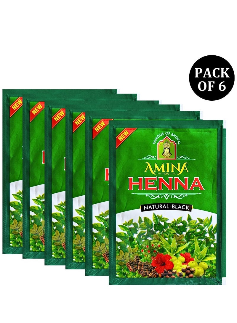Amina Natural Black Henna Powder For Hair Color, Natural Black Hair, Herbal Conditioning Hair Dye for Silky & Shiny Soft Hair Colour for Men & Women (25 Gms x Pack Of 6) - Image 3
