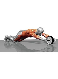 Exercise Roller Ab Double Wheel Abdominal Workout Roller with Knee Mat - pzsku/ZCDCC0EA87D3BF8E2C5CBZ/45/_/1706003478/00015216-c1b9-4e66-b2f9-cf6d07a7c41c