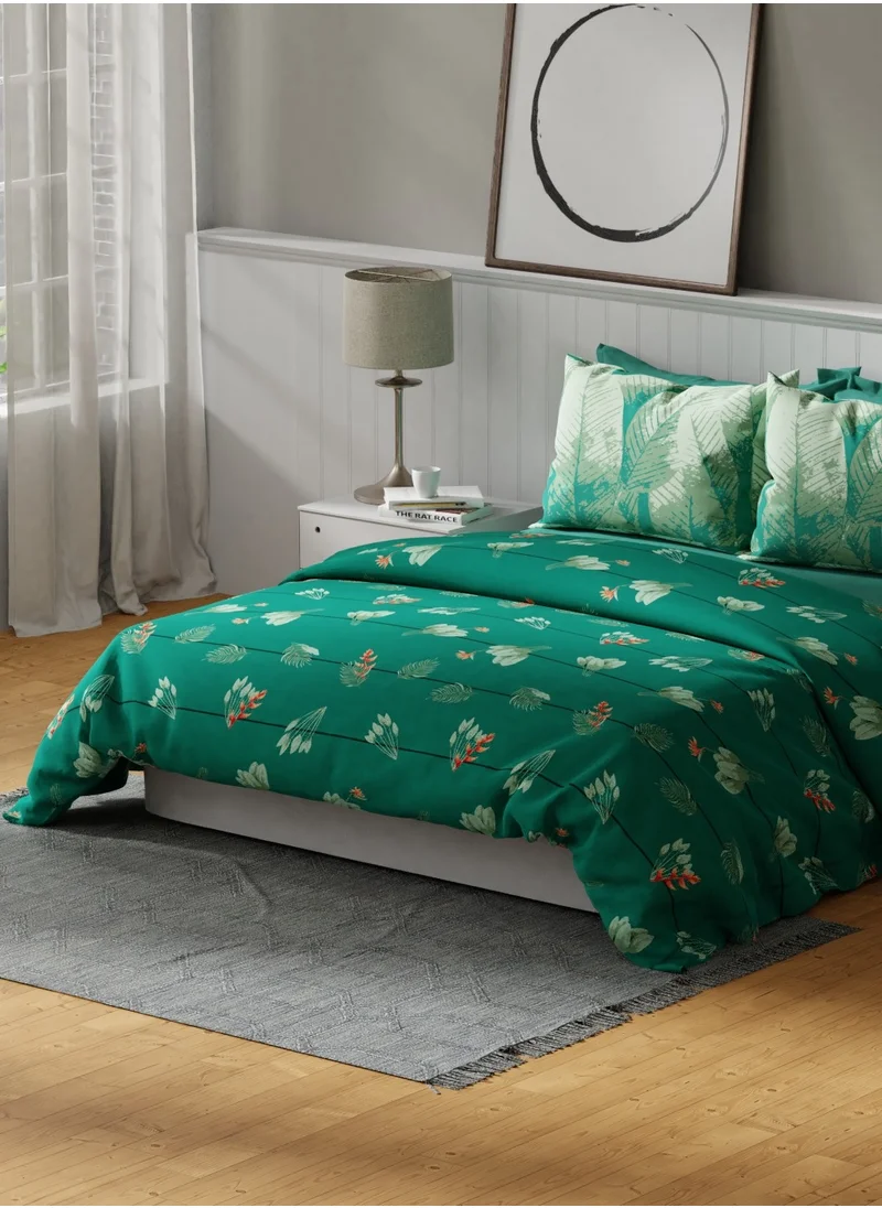 يونايتد كولورز أوف بينتيون United Colors of Benetton Safari 210 TC King Bedsheet with 2 Pillow covers Forest Green