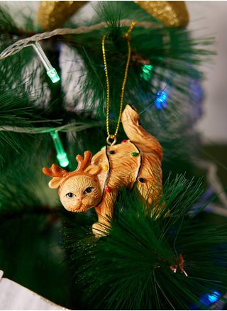 Space Resin Christmas Ornament Cat Hanging In Lights - pzsku/ZCDCDAB24CA1A888088FBZ/45/_/1733295634/fa93dc9a-8943-43fd-a649-6e664665f93d