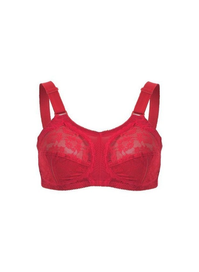 Lasso 3 Piece Laso Set - Lace Lace Bra for Women - Image 2