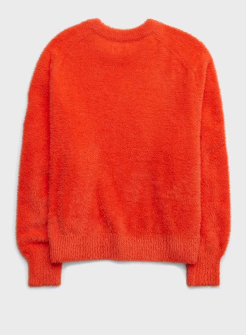 آري من امريكان ايجل Crew Neck Knitted Sweater
