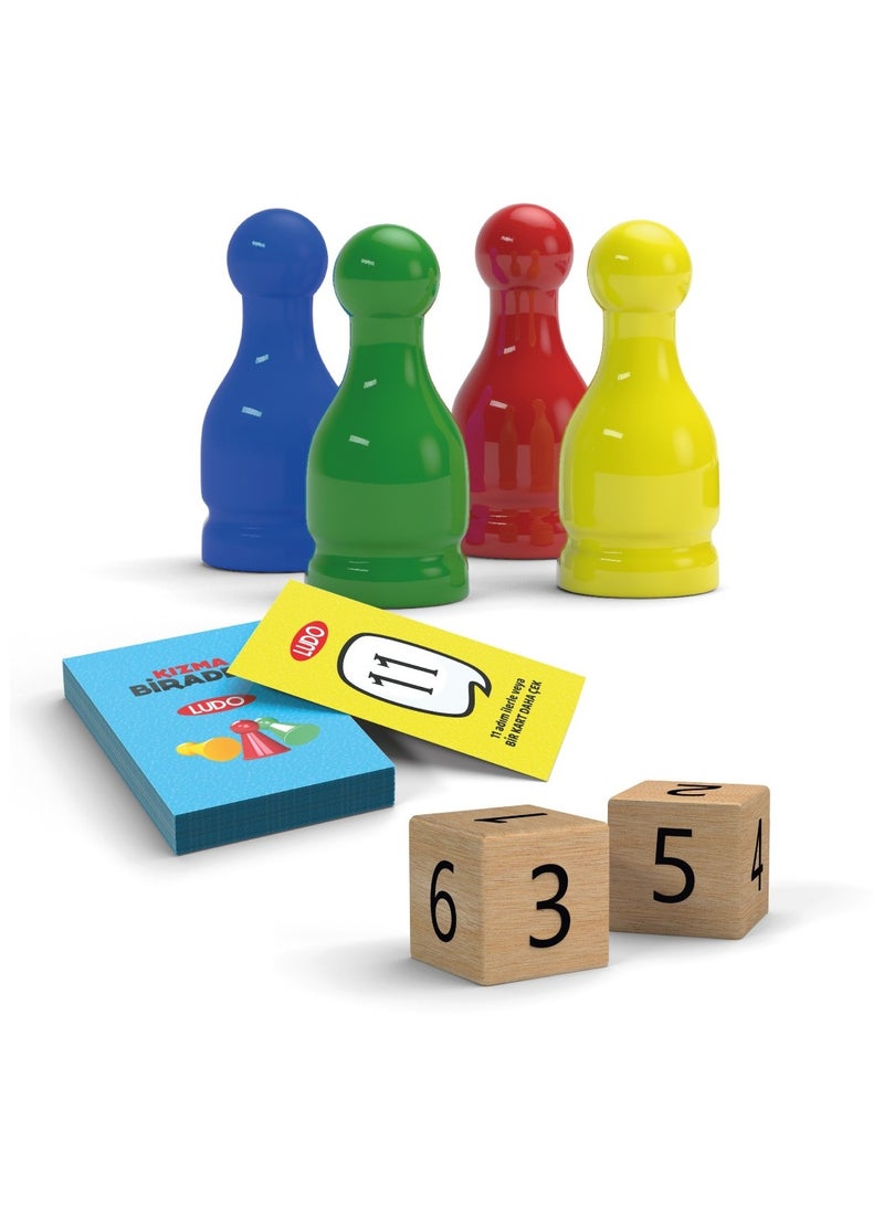 redka Redka Ludo fun family game - Image 3