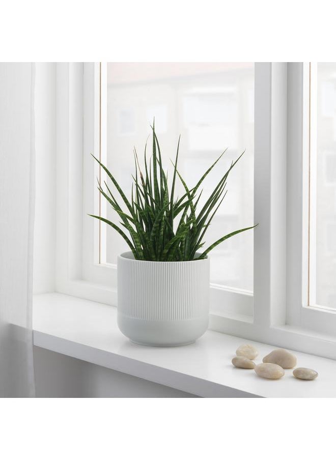 Zaboon Plant pot, grey, 15 cm  - Image 4