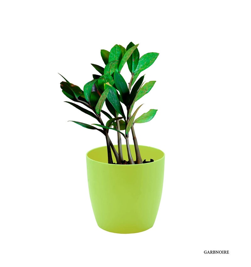 garbnoire Gardening Flower Pots - 4.4 Inch Plastic Flower Pots | Modern Decorative Indoor Outdoor Planters/Pots - Pack of (Green, 3) - Image 3