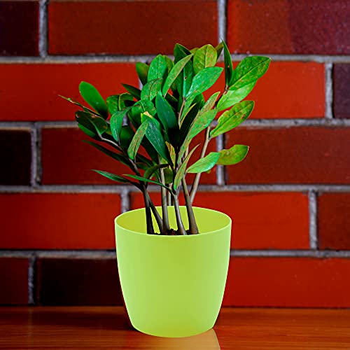 garbnoire Gardening Flower Pots - 4.4 Inch Plastic Flower Pots | Modern Decorative Indoor Outdoor Planters/Pots - Pack of (Green, 3) - Image 2