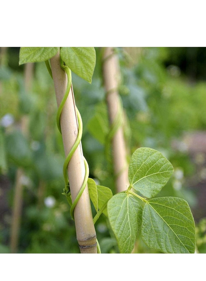 LINGWEI Bamboo Poles Garden Stacks Beige 2.5x120x2.5cm 10pcs  - Image 5