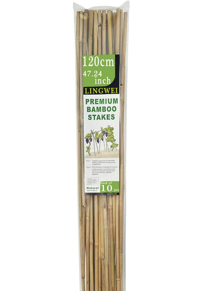 LINGWEI Bamboo Poles Garden Stacks Beige 2.5x120x2.5cm 10pcs  - Image 1