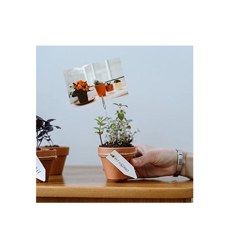 Zikra Metal Wire Alligator Clips 40 PCS Long-Tailed Alligator Clamp Photo Clip Holder Alligator Clips for Crafts DIY Card Photo Memo Clip Holder - Image 4