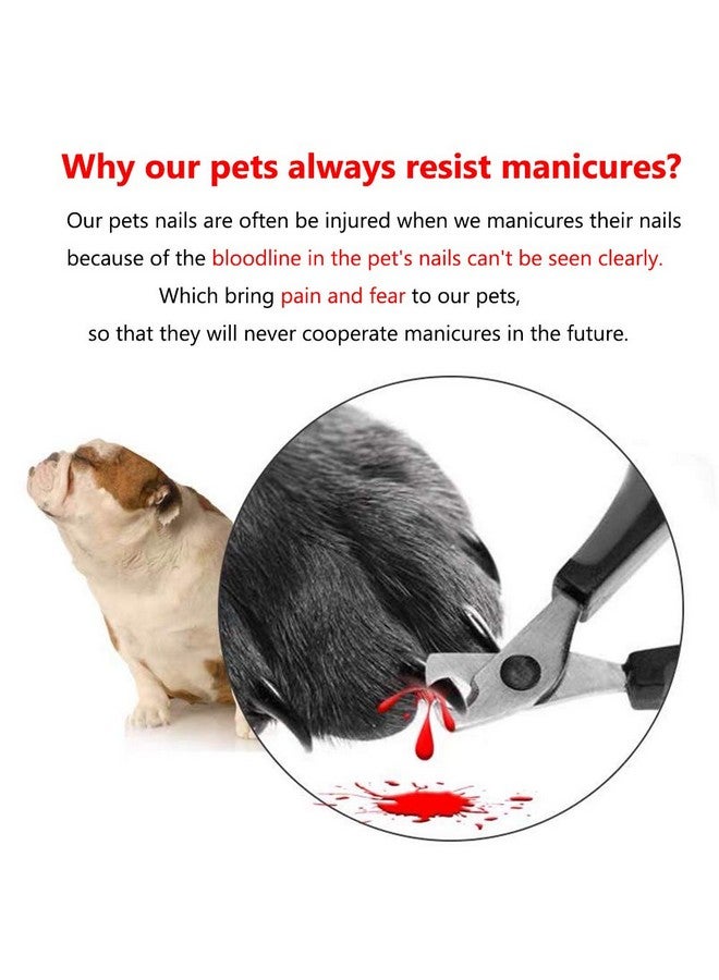 Helishy Illuminated Pet Nail Clipper, 5X Magnification Pet Nail Scissor Safe with LED Light, Pet Grooming Nail Care Tool Great for Dogs Cats - Image 2
