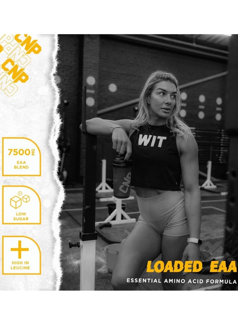 سي إن بي CNP محملة EAA 300 جرام نكهة البرتقال 30 حصة - Image 3