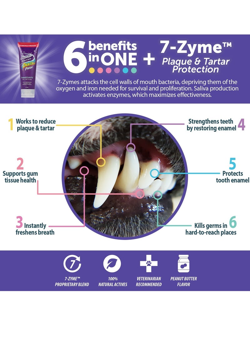 SynergyLabs Dental Fresh Enzymatic Plaque & Tartar Dental Gel with Triflex Brush 2.5 oz - 70.87 g  - Image 3